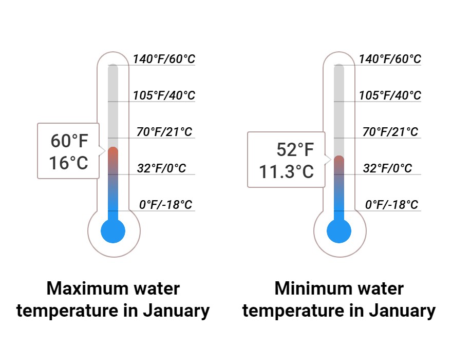 Average Sea temperature